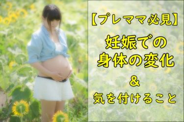 【プレママ必見】妊娠中の身体の変化と気をつけるべきことまとめ